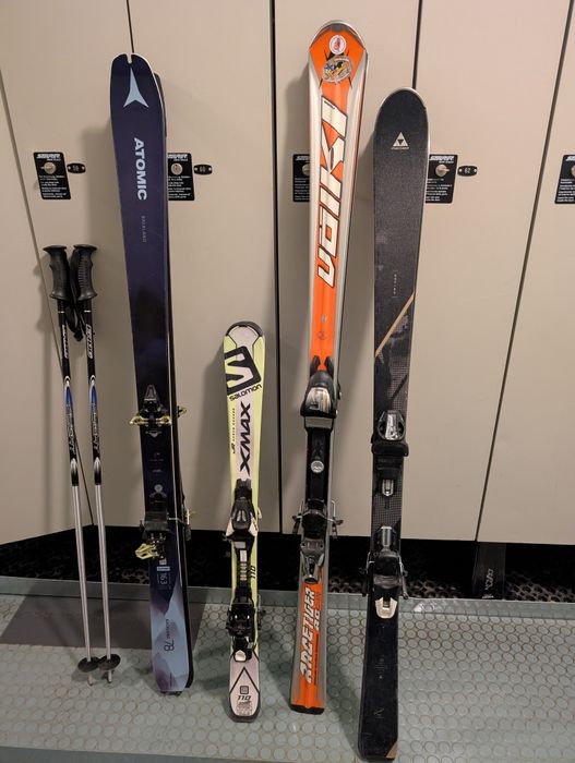 Лижі професійні гірські