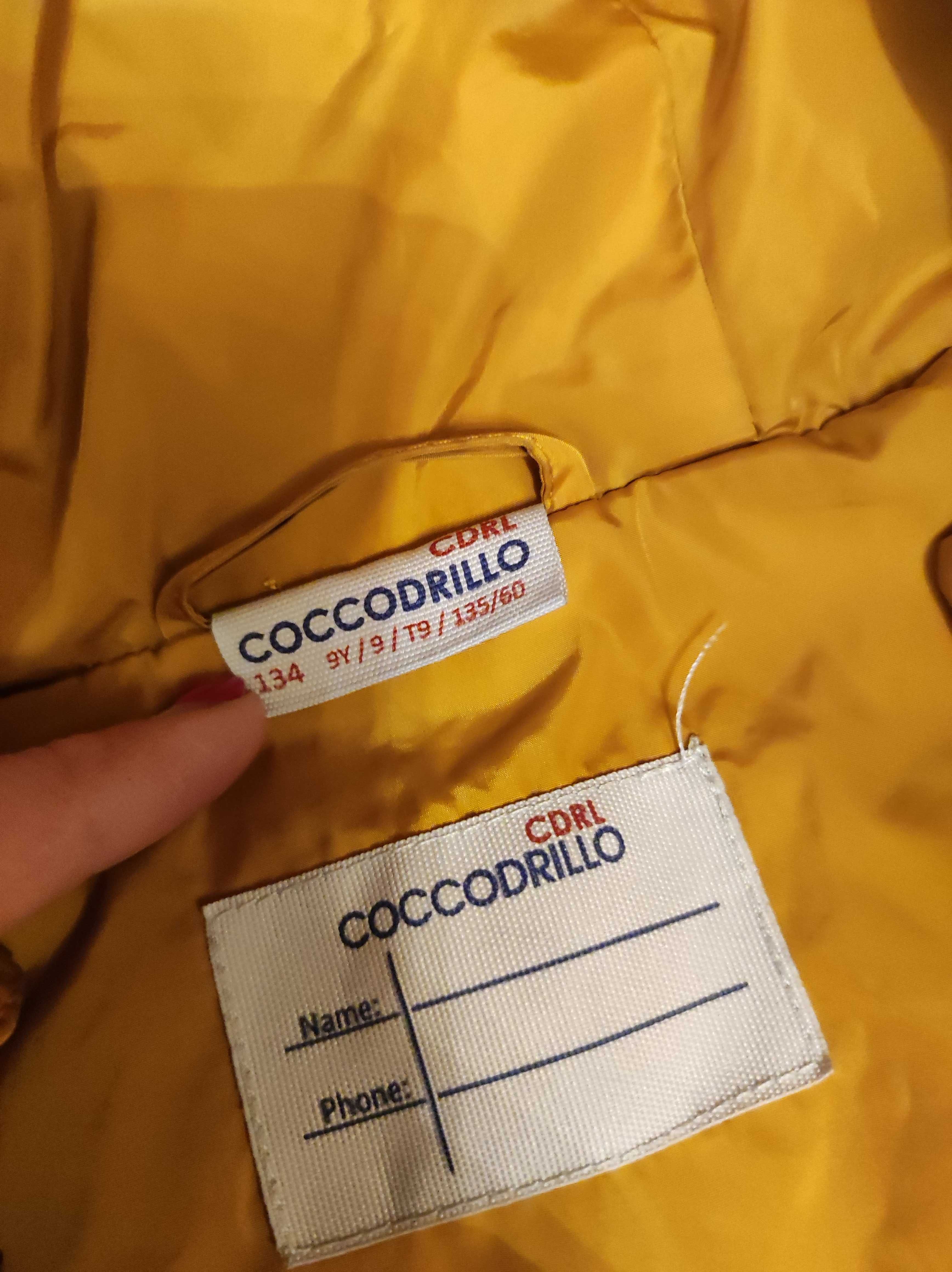 Kurtka zimowa dla chłopca coccodrilo 134 żółta plus bluzka gratis