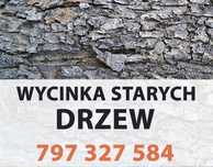 Wycinka drzew usuwanie / Karczowanie krzewów - czyszczenie działek