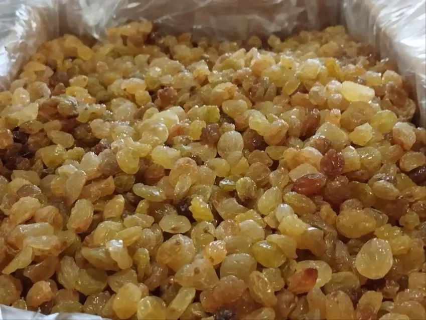 Родзинки золоті Іран Сушений виноград Іранські родзинки 1кг Изюм Иран