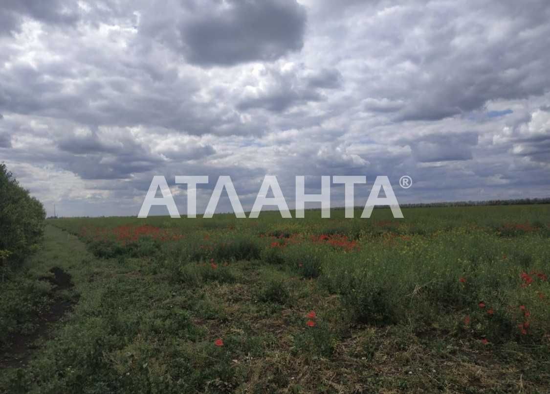 дом 60 кв.м.в  Светлом  на Новых дачах. Отличное состояние.