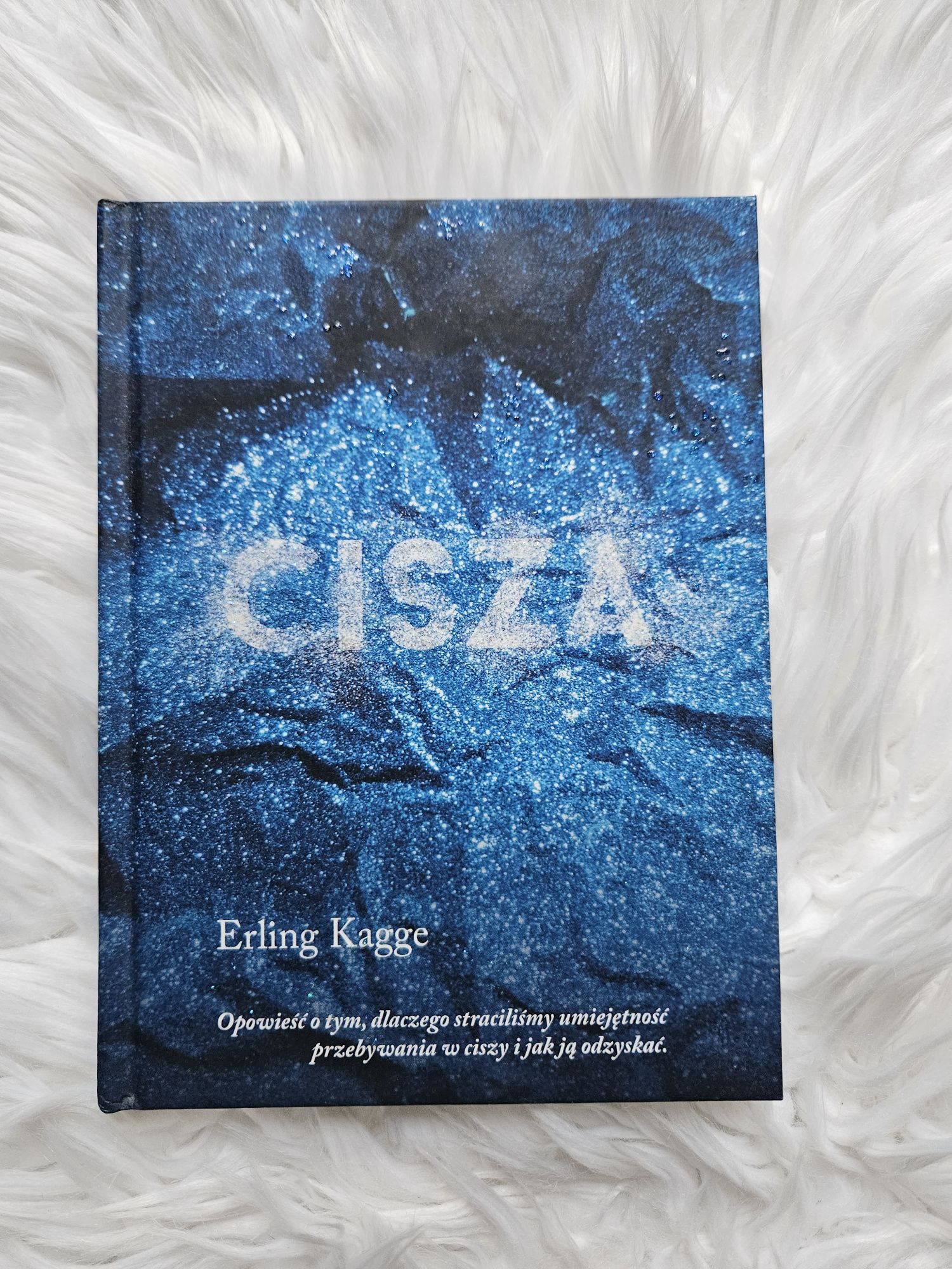 Cisza Erling Kagge