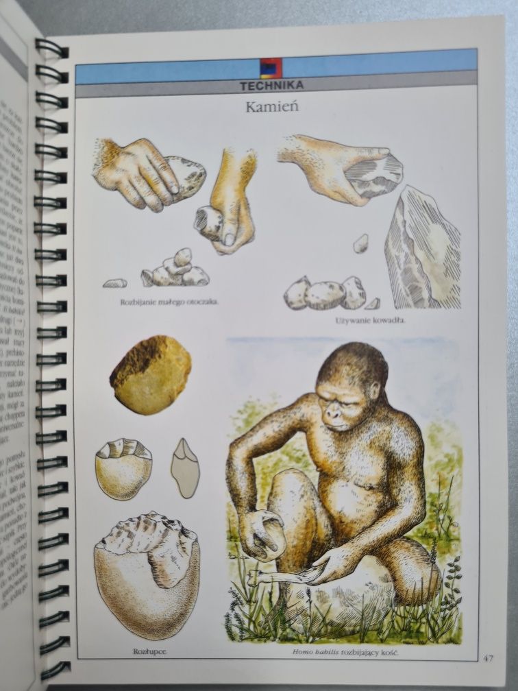 Ewolucja człowieka - Atlas / Książka