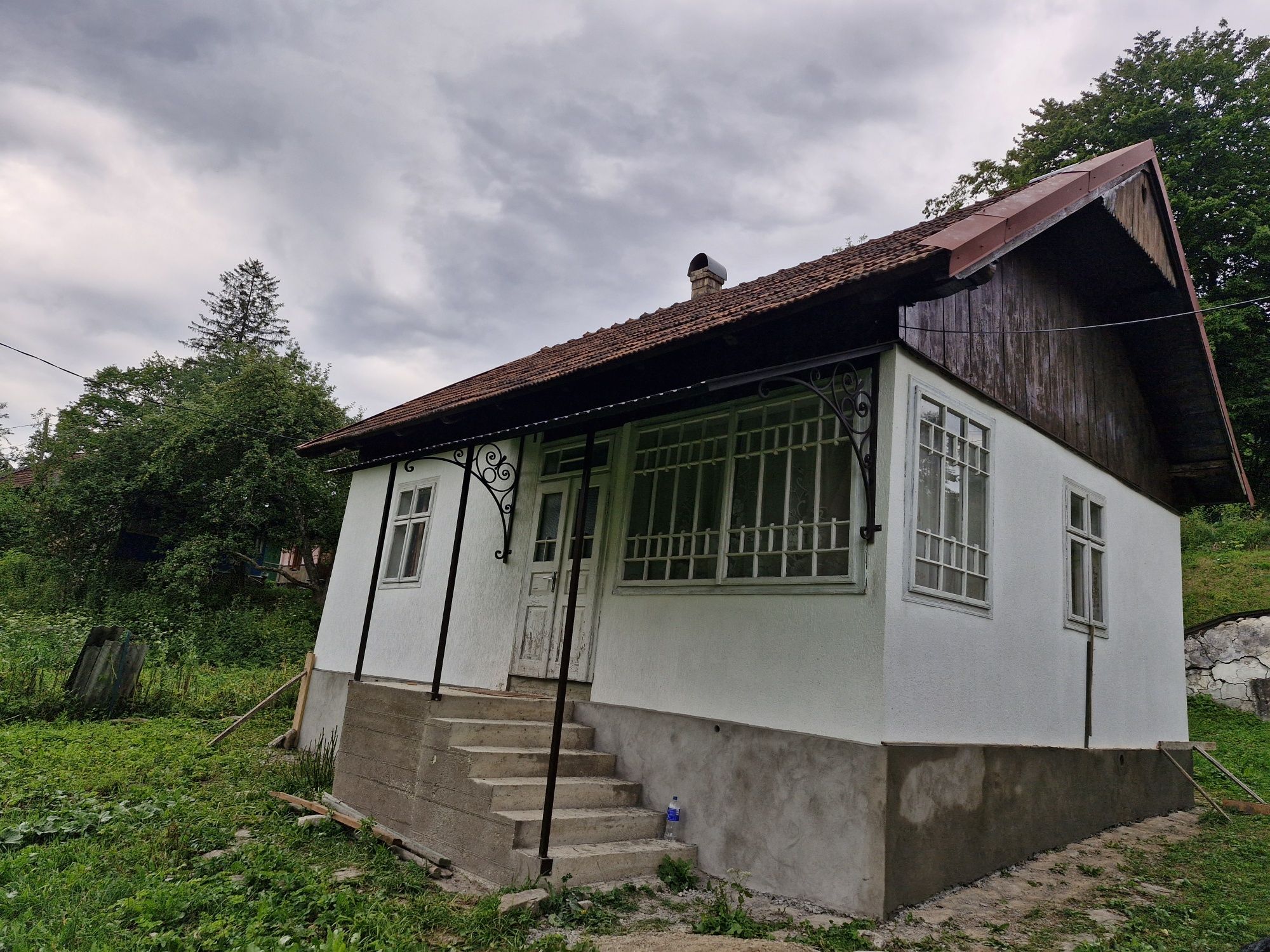 Будинок в Карпатах