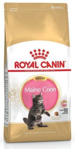 Karma dla kociąt Maine Coon, kotek w ciąży/karmiących Royal Canin 2kg