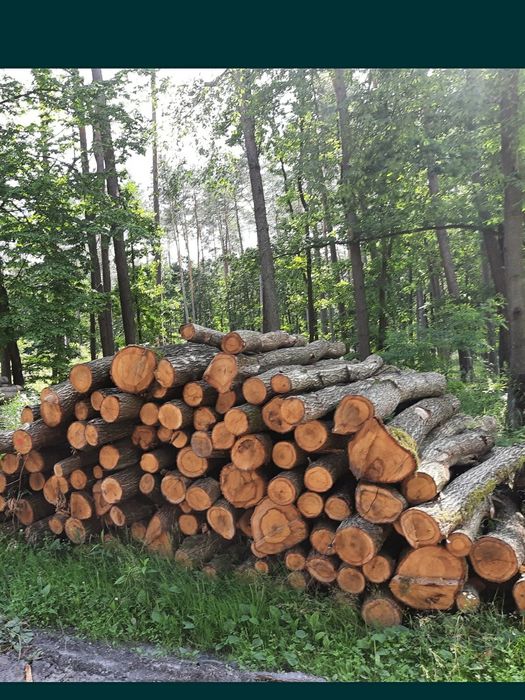 Drewno drzewo opałowe kominkowe dąb, buk, grab, sosna, brzoza