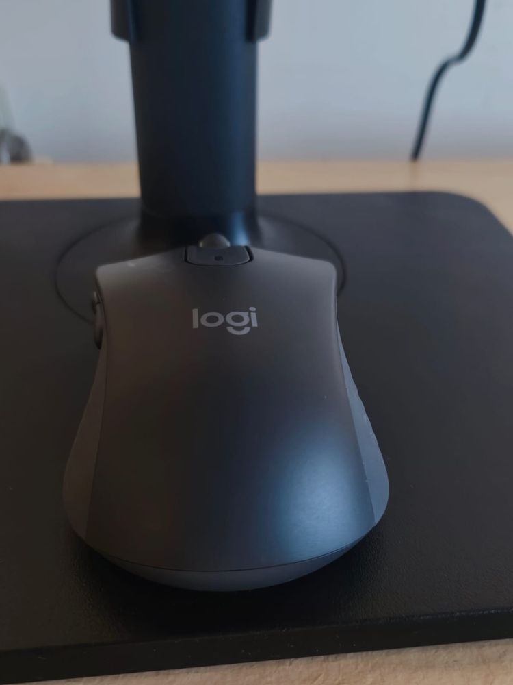 Rato Logitech Signature M650 L