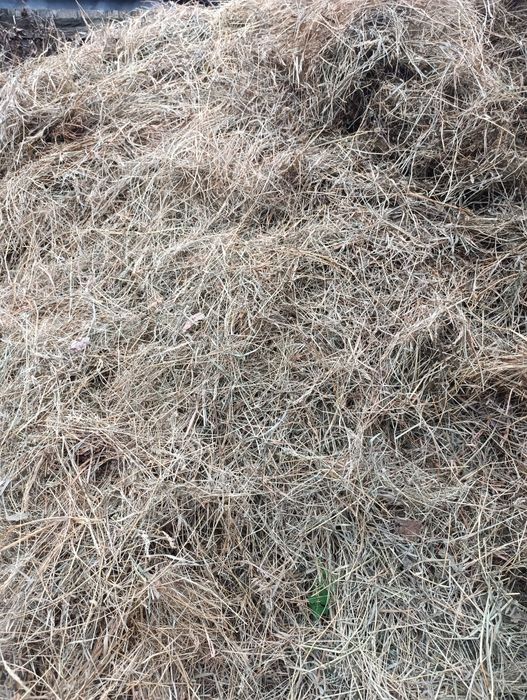 Отдам сено заготовка была для коз