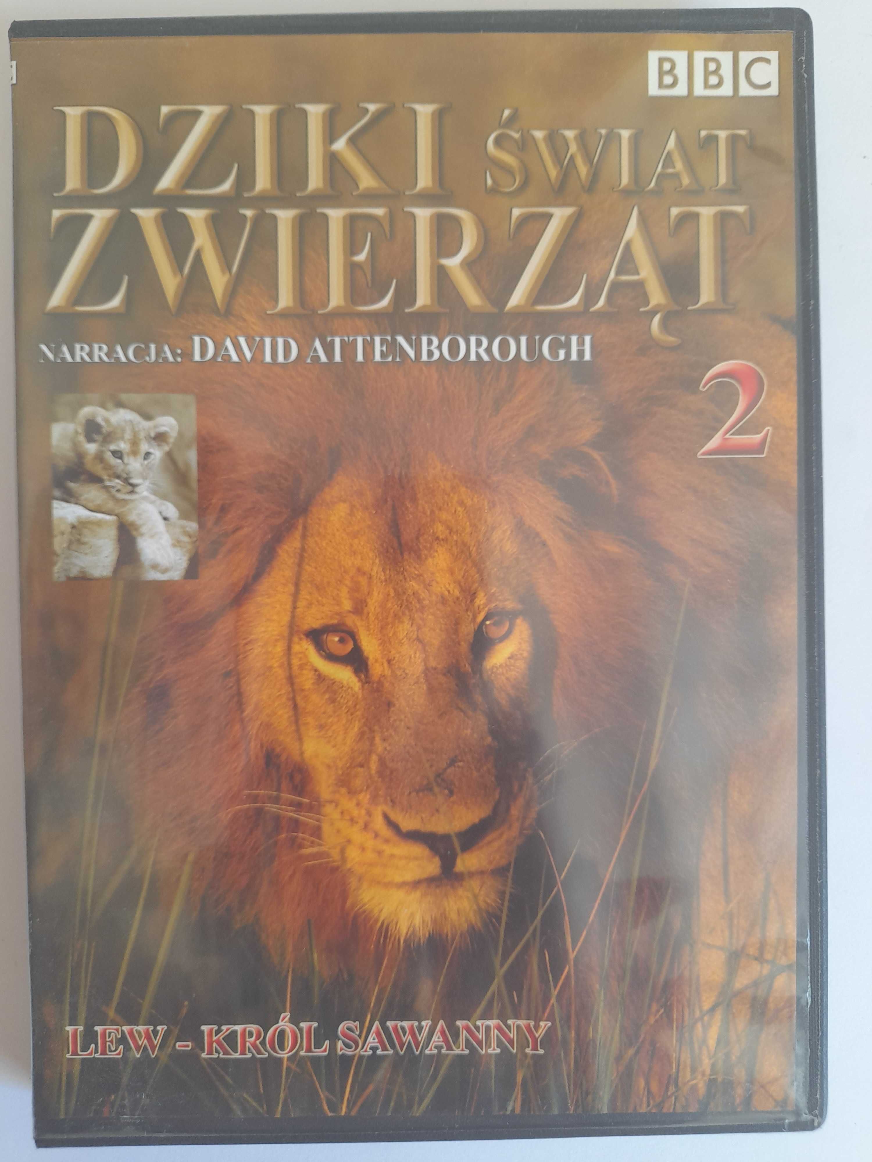 Dziki świat zwierząt. Lew - król Sawanny płyta DVD