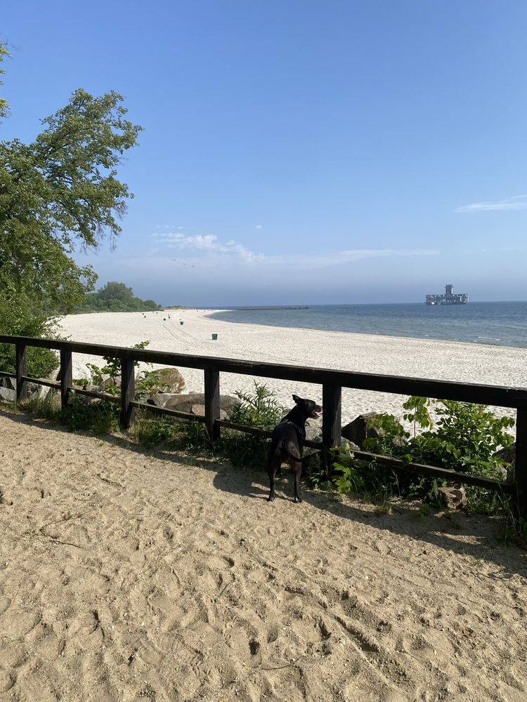 Apartament NADIA 200m do plaży