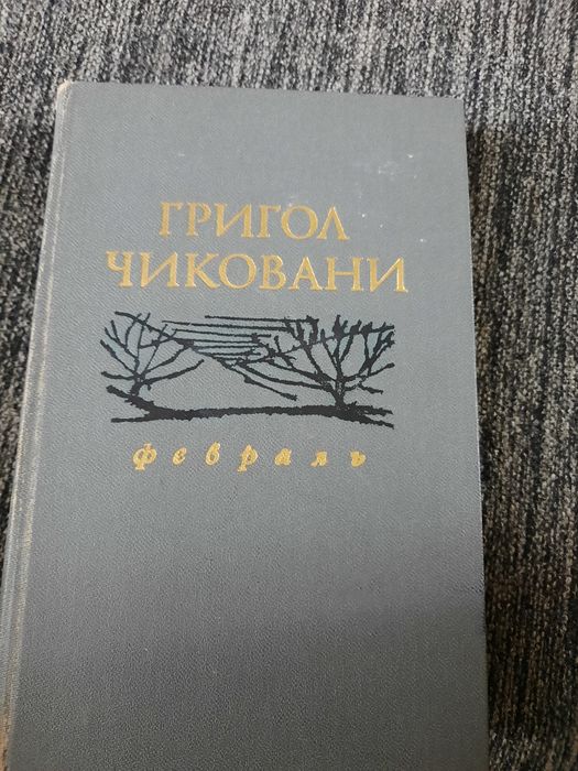 Книга " Лютий" Грігол Чіковані