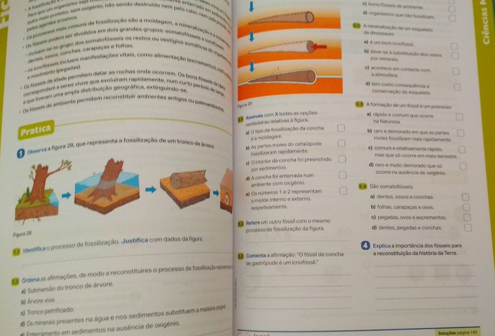 Livro revisão 7 matemática física ciências geografia