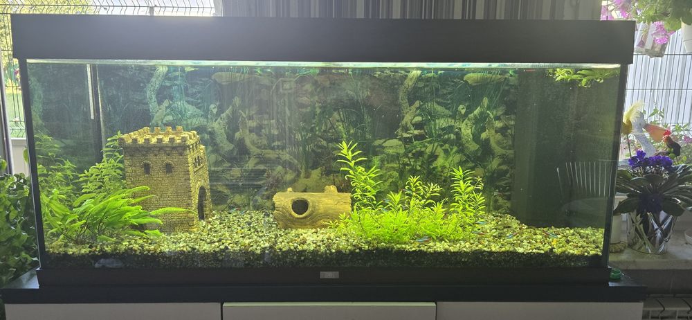 Akwarium Juwel 240