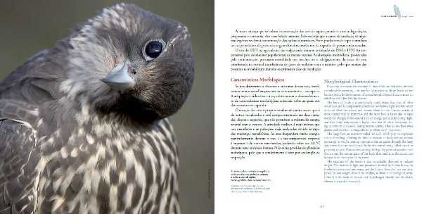 Livro completo : "Falcoaria Arte Real" (Royal Art Falconry) - Novo
