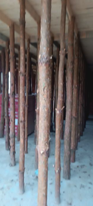 Stemple budowlane 3 m