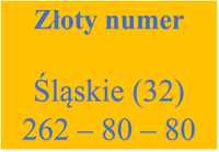 Złoty numer woj. śląskie