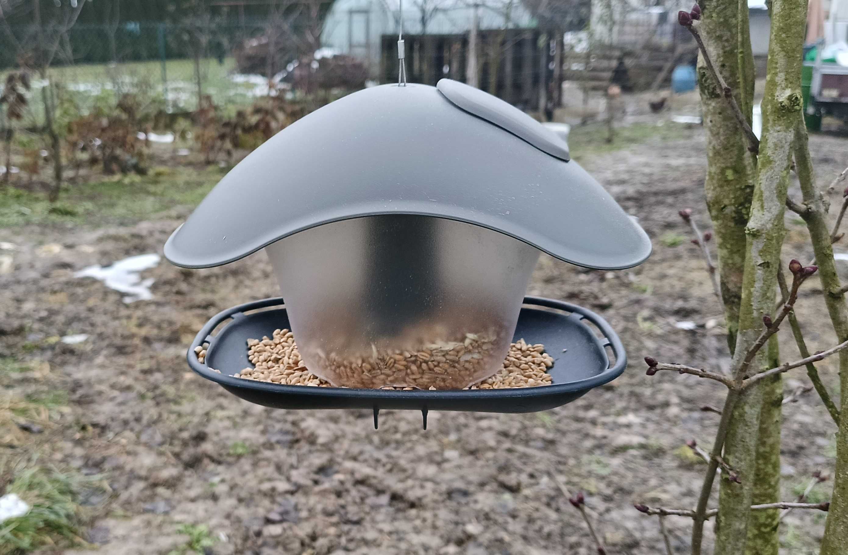 Karmnik dla ptaków Birdyfeed Square nowoczesny karmik