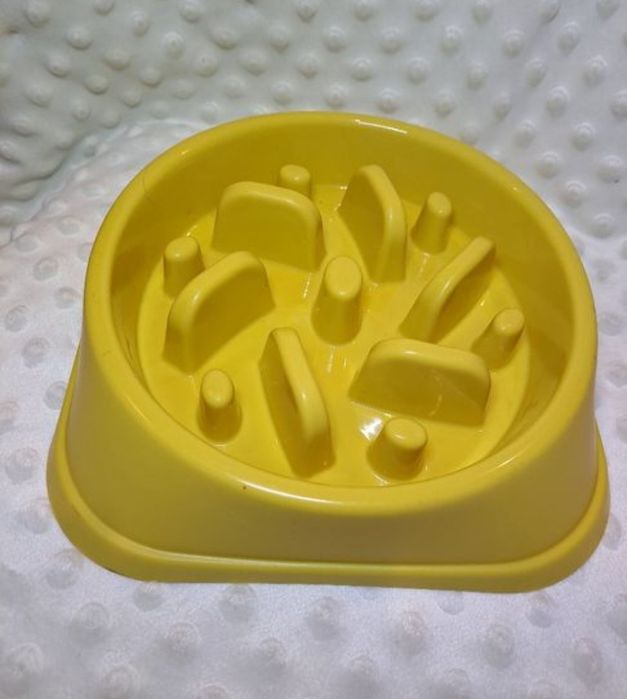 Miska spowalniająca jedzenie dla psa