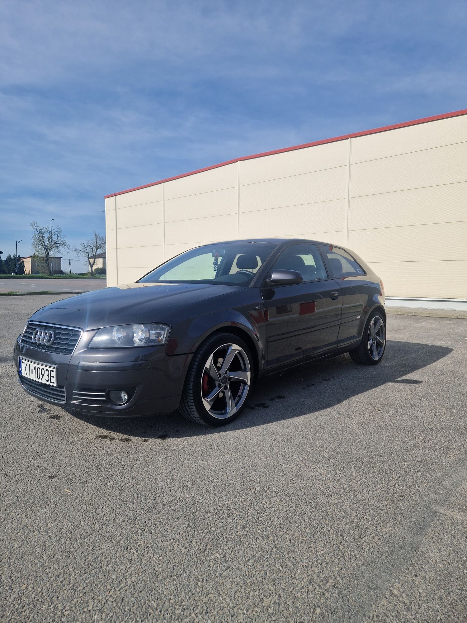 Audi a3 8p 2.0 TDI 170 KM