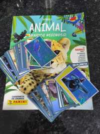 cromos ANIMAL Grandes Recordes