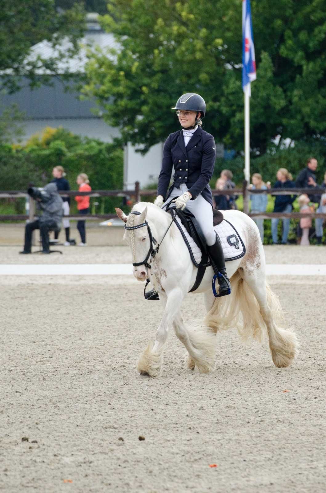 Kon ujezdzenie sport klacz tinker irish cob kuc grupa C