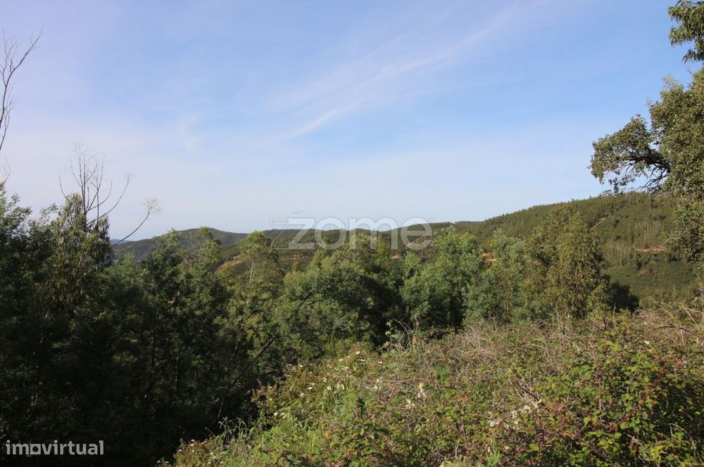 Terreno Rustico em Portalinhos - Monchique