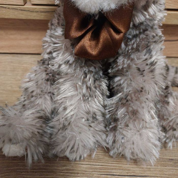 Кіт Maciek від шведського бренду Bukowski