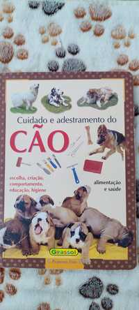 Cuidados e adestramento do cão