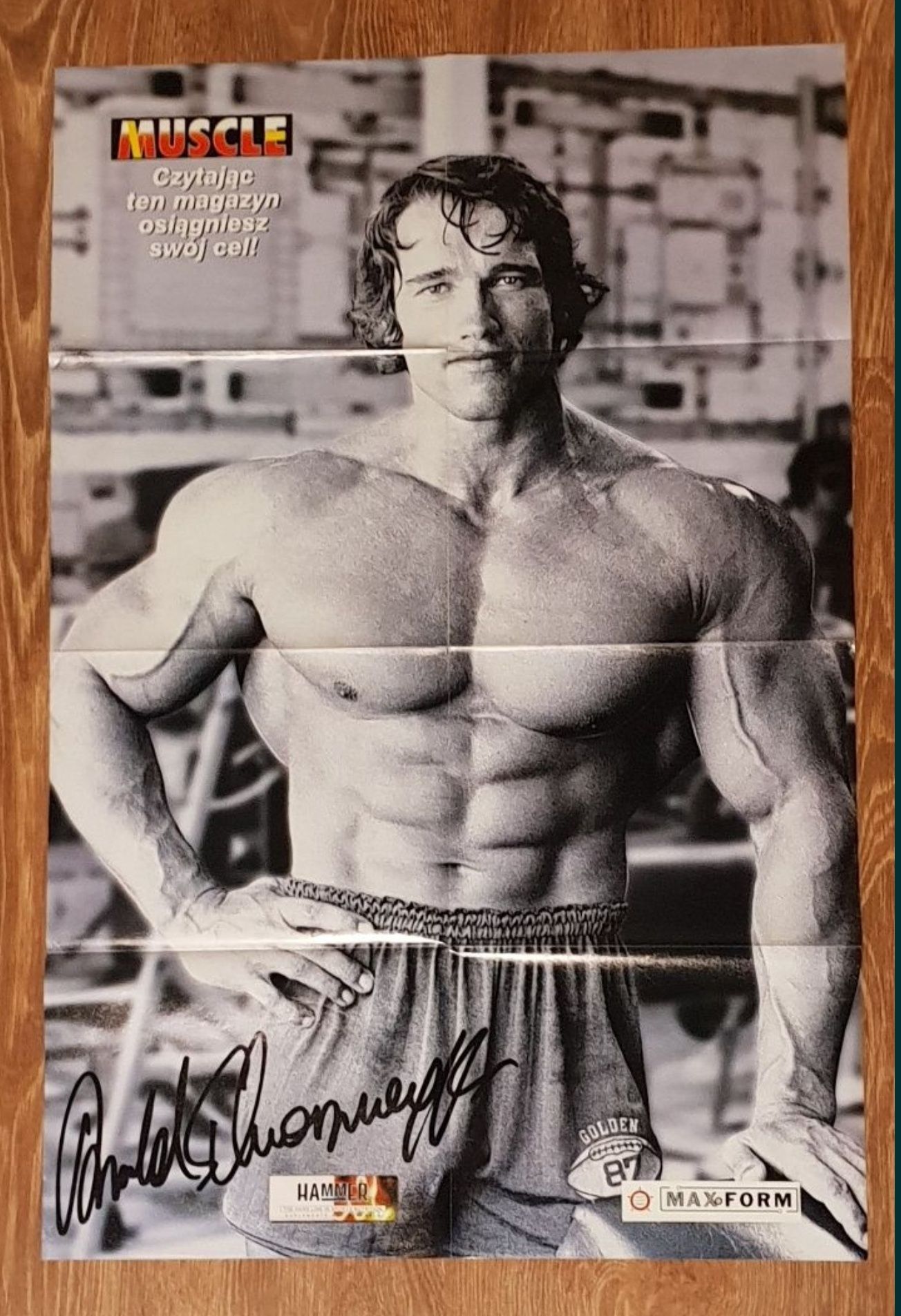 Arnold Schwarzenegger - Wydanie Kolekcjonerskie z 1997r Plakat Unikat!