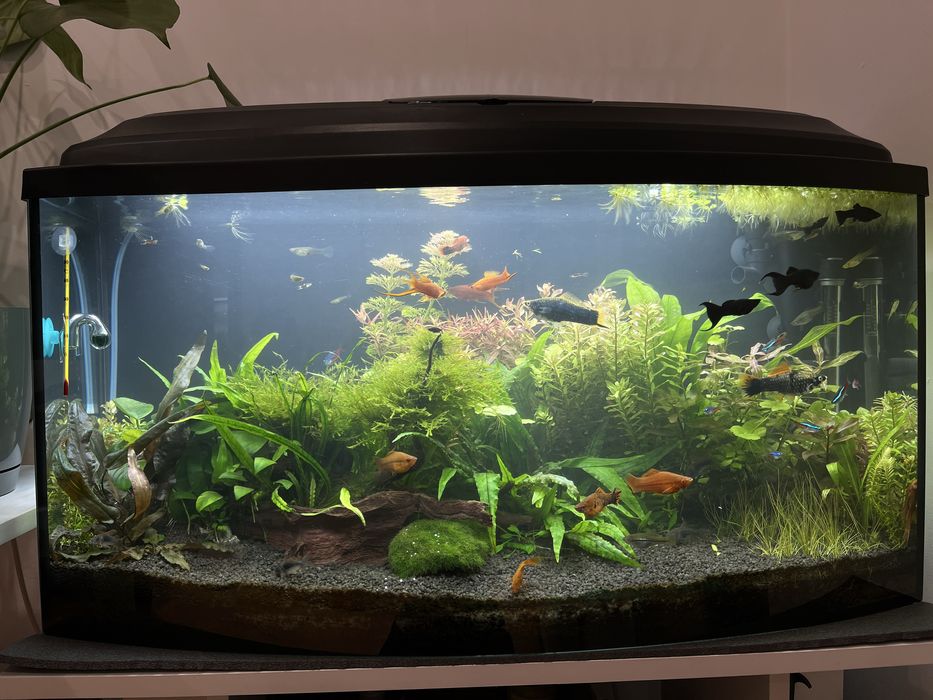 Akwarium 112l, ultramax, CO2, led, szafka pod akwarium