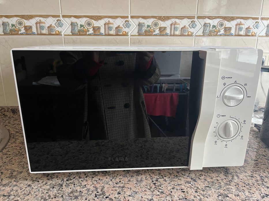 Microondas Flama