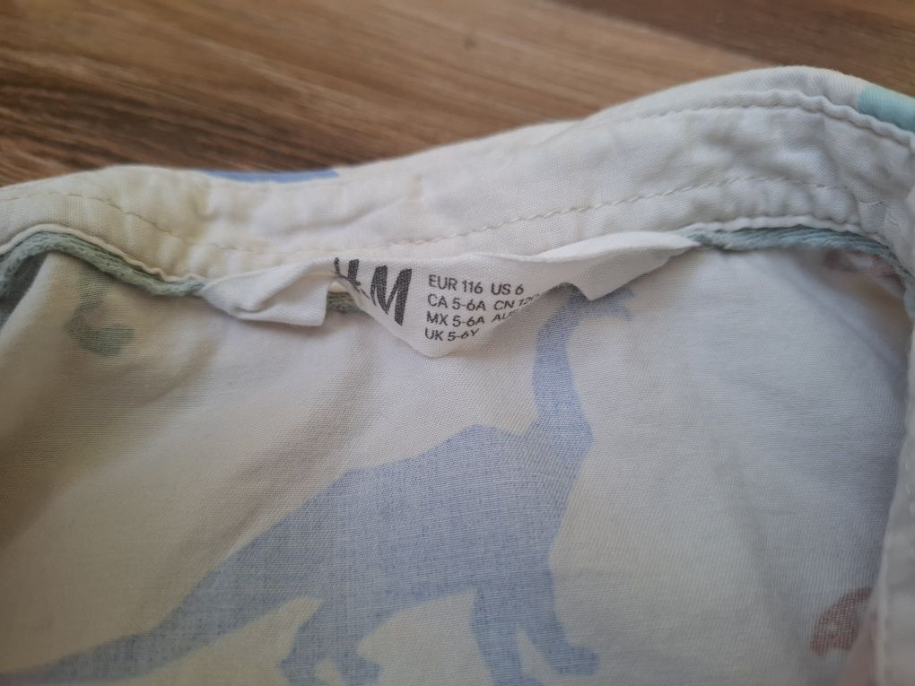 Koszula h&m dinozaury Dino chłopięca r. 116 122