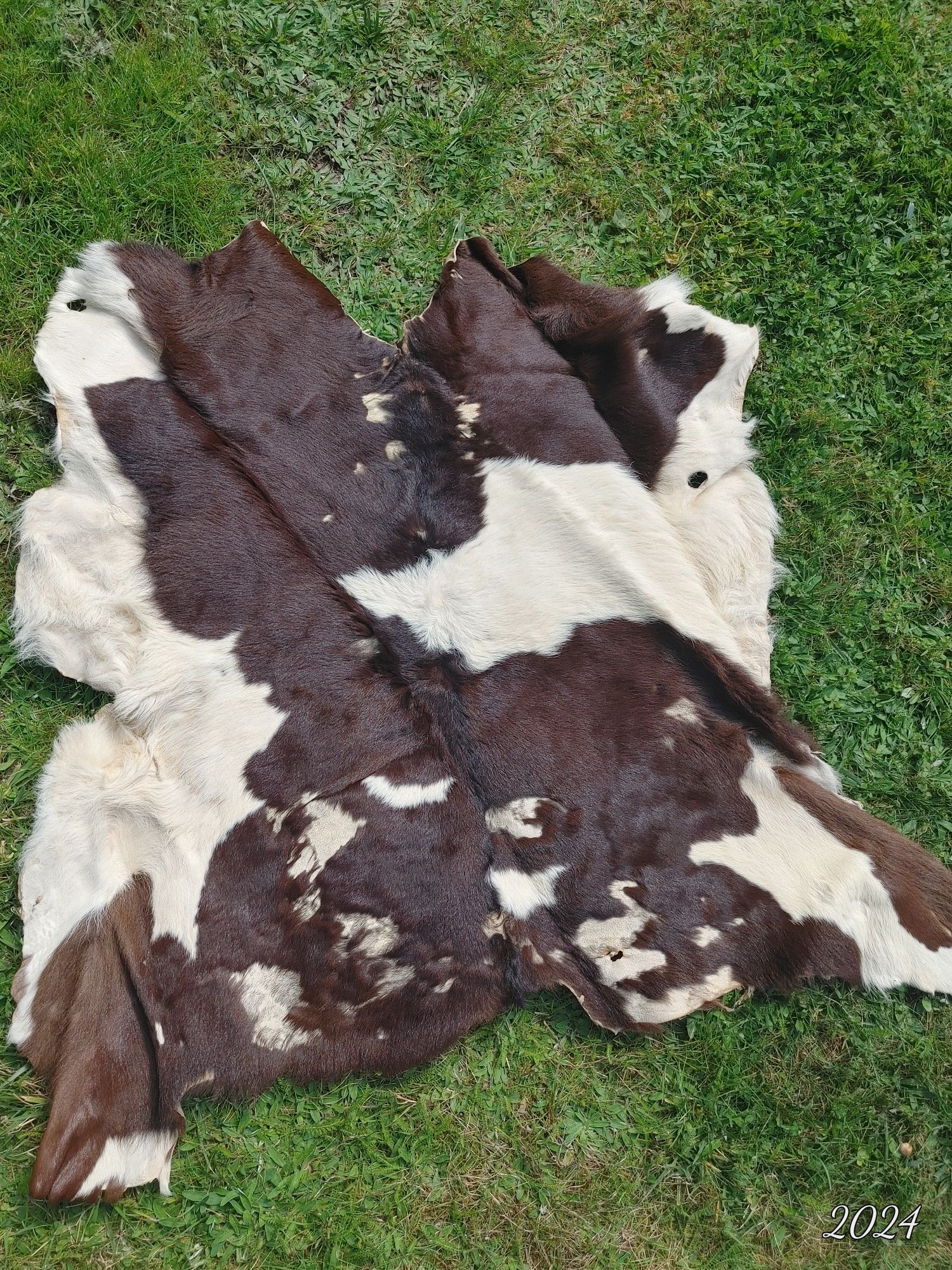 Skóra cielęca. 3szt Wymiar ok. 80x90cm. Brązowe i łaciate