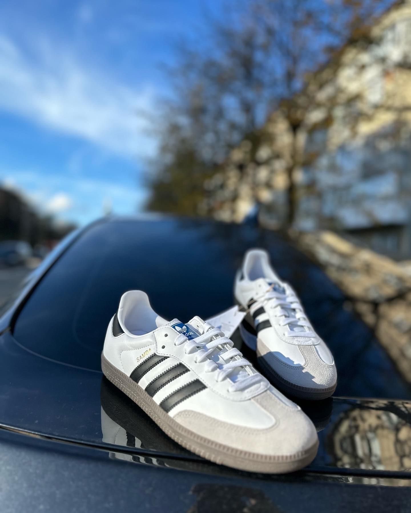 Оригінальні кросівки Adidas SAMBA OG B75806