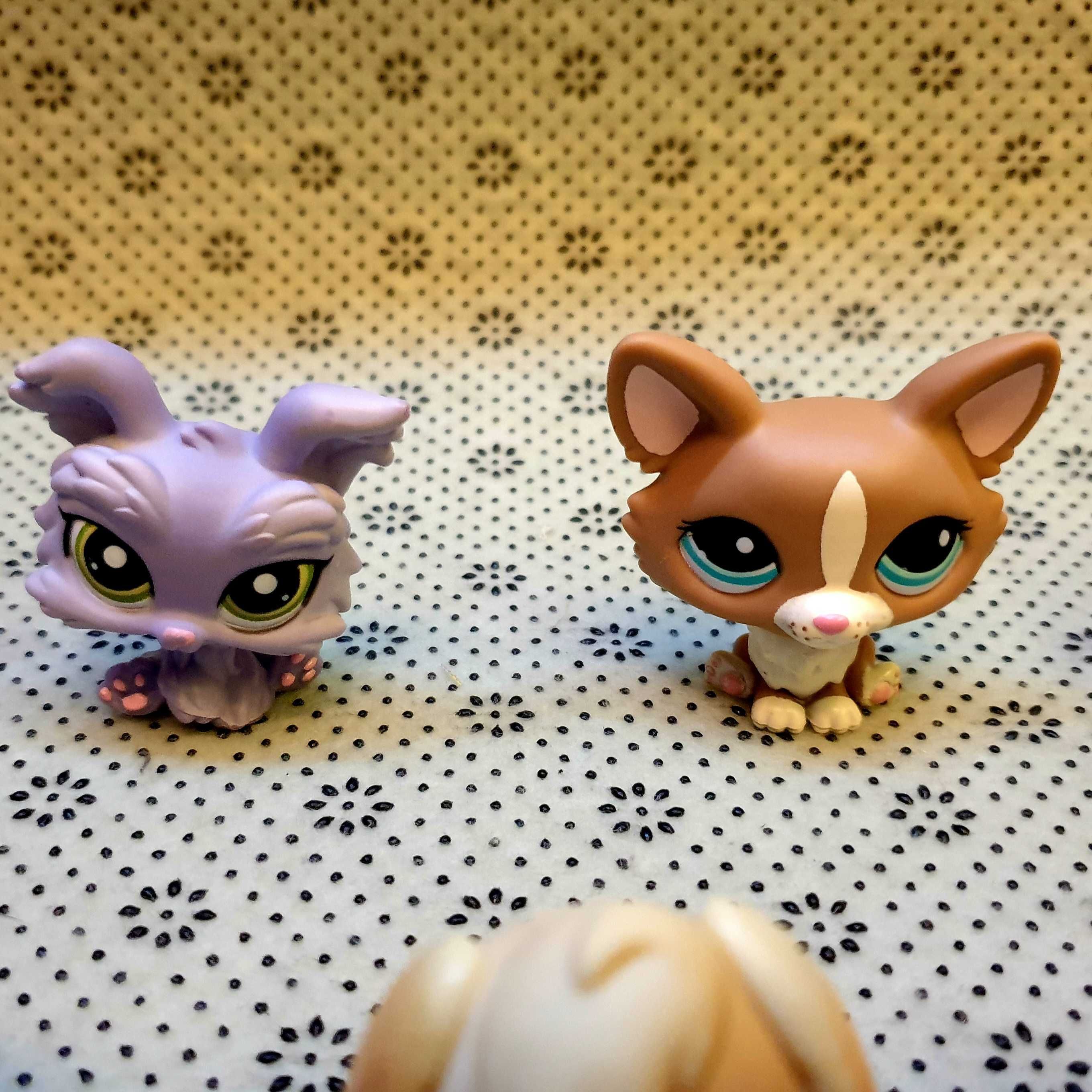 Littlest Pet Shop 9 rzadkich sztuk - oryginalne LPS Zestaw 1 z 3