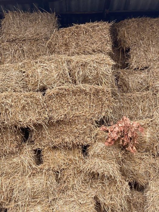 Продам тюки соломи