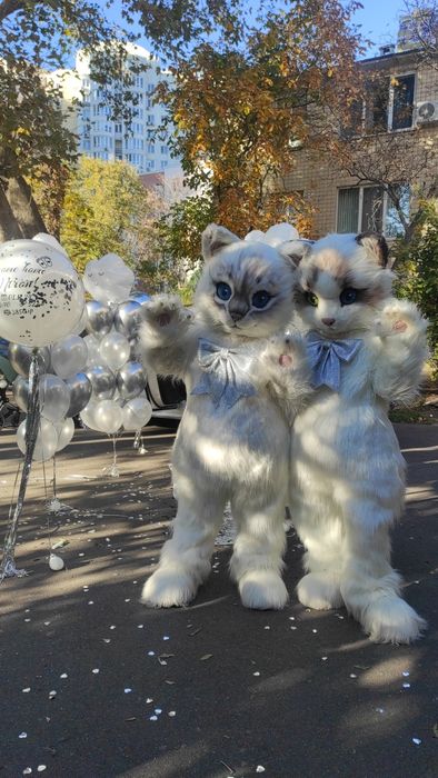 Ростовые куклы Аниматоры  экспресс поздравление выписка роддом