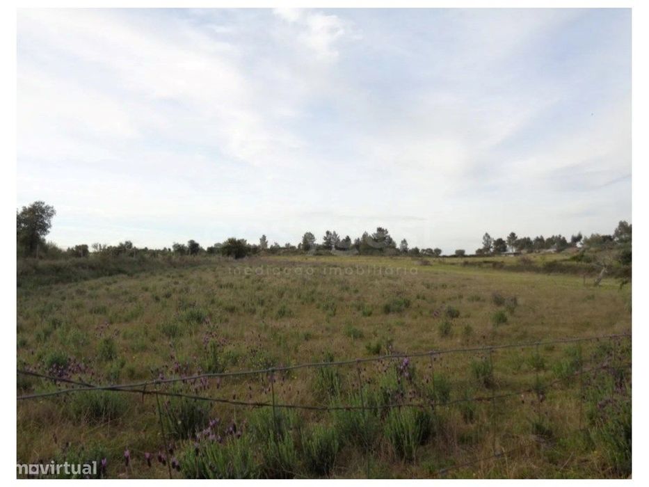 Excelente Terreno Rústico com Poço e Cultura Arvense em São Miguel ...