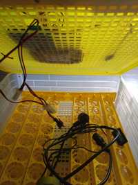 Inkubator na 96 jak automat