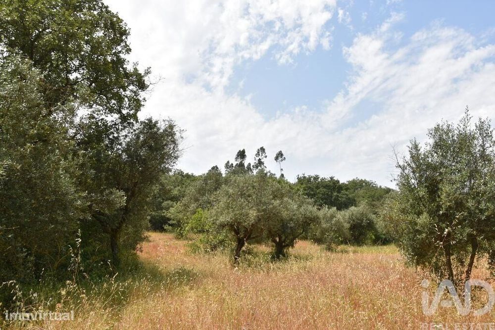 Terreno em Chãos de 3680,00 m2
