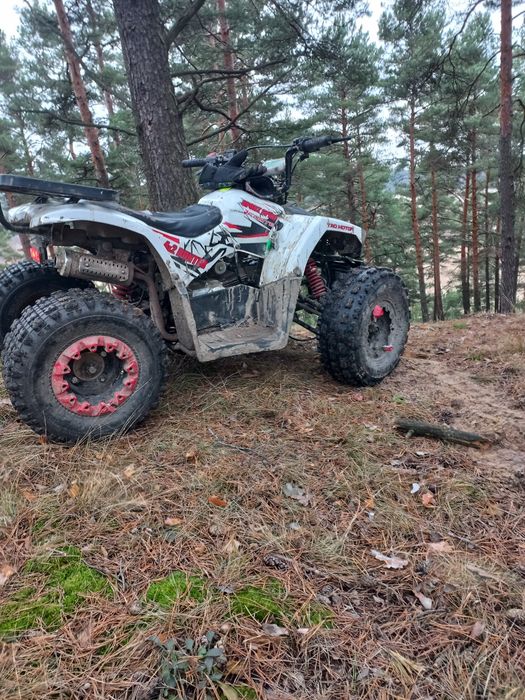 Квадрик форте 125