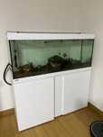 Aquario EHEIM vivalineLED+ 240 Conjunto