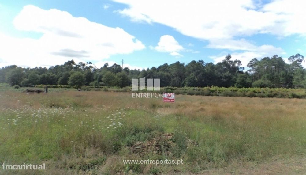 Venda de Terreno, Vila Meã, V.N.Verceira.