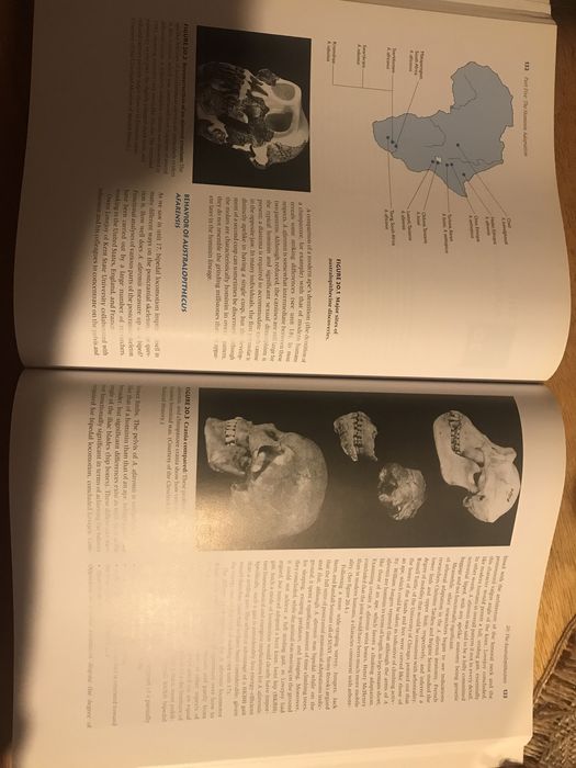 Livro “Human Evolution”