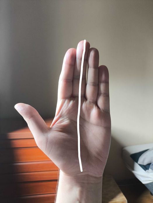 Męskie rękawiczki treningowe UA XXL