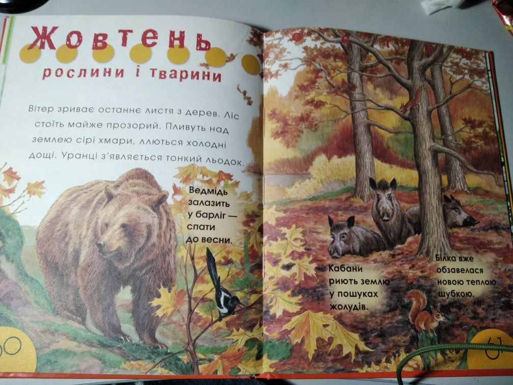 Книга "Енциклопедія природи для малюків"