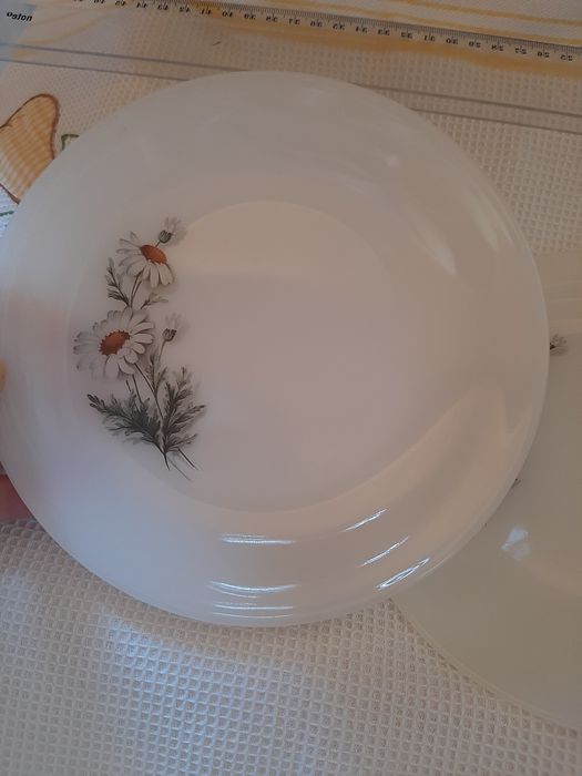 Pratos Sobremesa Arcopal Margaridas - Excelente Estado