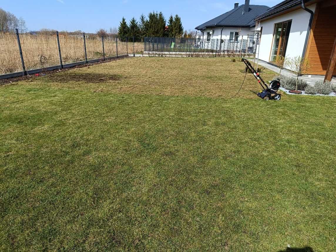 WERTYKULATOR Elektryczny 3w1 Aerator Spulchniacz Wertykulator 2400W