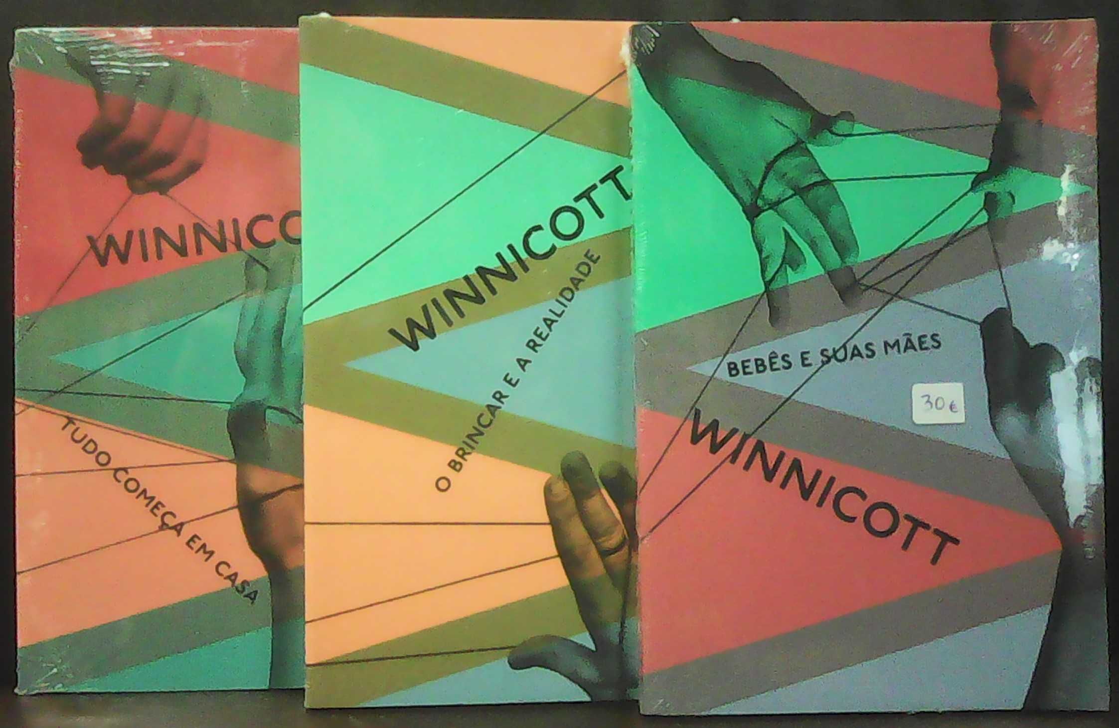 D. Winnicott, E. Roudinesco e F. Dolto - 24 livros raros de psicologia