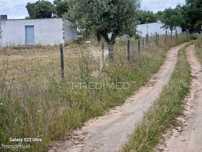 Terreno. Rustico, no  Torrão do Alentejo